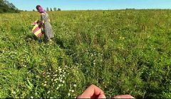 Amateur pair engagement sex with kissing, missionary position, doggy style, gorgeous blowjob and cumshots on a sweet little pussy. Everything is filmed from a first-person perspective.