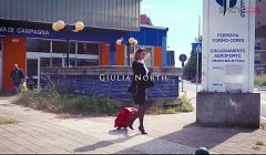 Porn scout for anal model