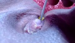 Adoro ler os comentários   Passando o pirulito na buceta greluda