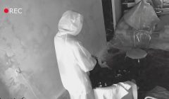 Brunette make Blowjob so as not to Quarantine – Coronavirus