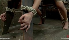 Busty beauty hogtied in the air