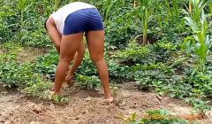 Butt fuck in a meadow with one of my boy in my plantain farm