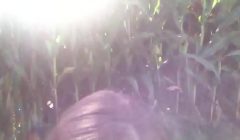 Deep throating in the corn field