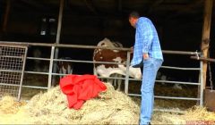 Dirty chubby milf get hard dick and cum on the hay