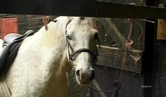 Dirty wild sex in a barn for naughty farm girls