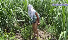 कोमल आगे आगे गन्ने के खेत में चली पीछे पीछे उशका लवर घुसा