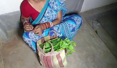 गाँव की लड़की ने सब्जी बेचते बेचते शहर वाले अंकल से चुदवाया