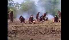 สวาทสาวขัง