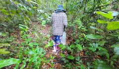 สาวไทยเดินเล่นในป่าแวะเย็ดกัน ก่อนไปเก็บเห็ด เสียงไทย4K