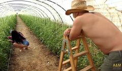 En esta granja se va a liar una de buen sexo. This farm is going to have some good sex.