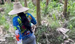 ENCUENTRO A CAMPESINA NOBLE Y LA PONGO A MAMAR A CAMBIO DE UN TELEFONO