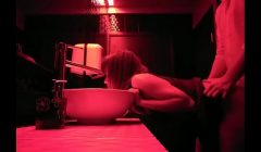 Hard sex in the toilet