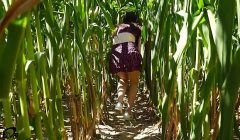 Horny BLOWJOB in a corn field