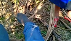 Indian village bhabhi fucking outdoor