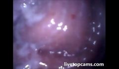 Inside of the vagina orgasm