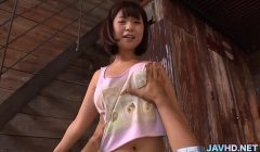 Japanese Boobs for Every Taste Vol 109