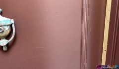 Lucky fan makes a sex movie with Erin Electra