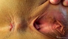 Model Selle Flower Power