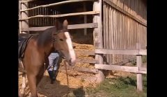 –redlight-fmd 0042 02