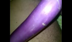 shonu brinjled INDIAN