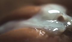 The most detailed fuck of a hairy pussy