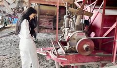 Vintage Tractor Mayhem 4K