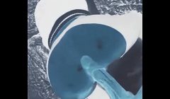 X-Ray-ishDoggyStyle POV -OMG so HOT!!!