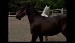 xvideos.com 975168c05234ffb3b3966226d738fa4a