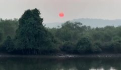 Мне очень нравятся индийские традиции , запах хны это запах Индии