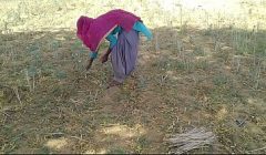 देसी इंडियन ब्वॉयफ्रेंड ने खेत में काम रही उसकी मस्त चोदा
