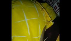 midnight desi indian wife