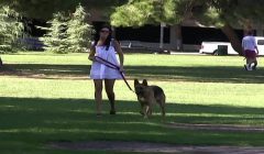 We pick up your hot step mom and fuck her – (India Summer)